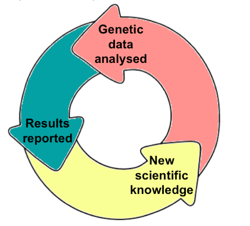 Our continuous analysis results knowledge cycle
