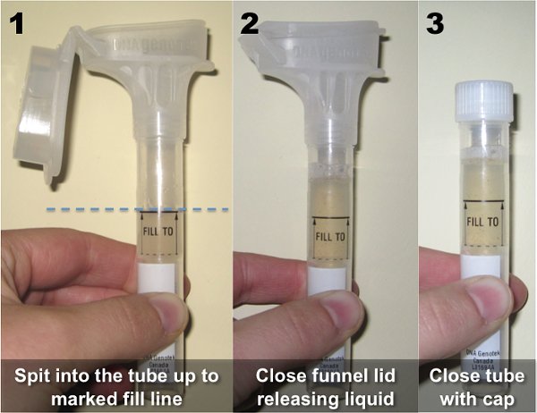 Illustration of 3 steps in filling a specimen pouch