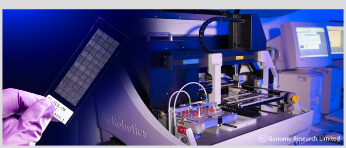 BioRobotics robots that prepare microarrays on glass slides.