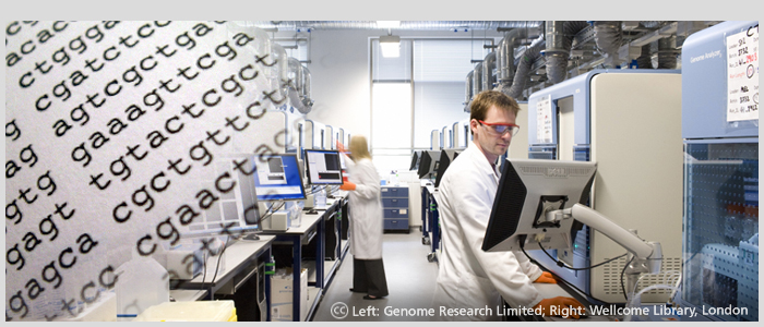 Sequencing Room at the Wellcome Sanger Institute